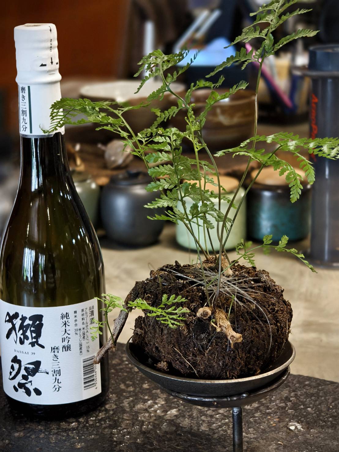 橘線捷運寵物友善獺咖啡,是在五塊厝站附近,有店貓相伴 - 第46張圖