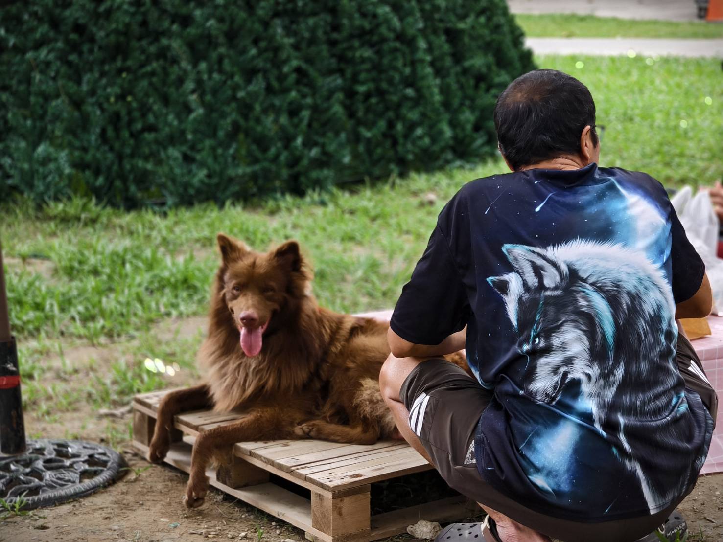 2025世界在屏東,10/10~10/12在屏東公園盛大舉辦,吃喝玩樂通通有,集點兌換屏東限定魔術方塊 - 第80張圖