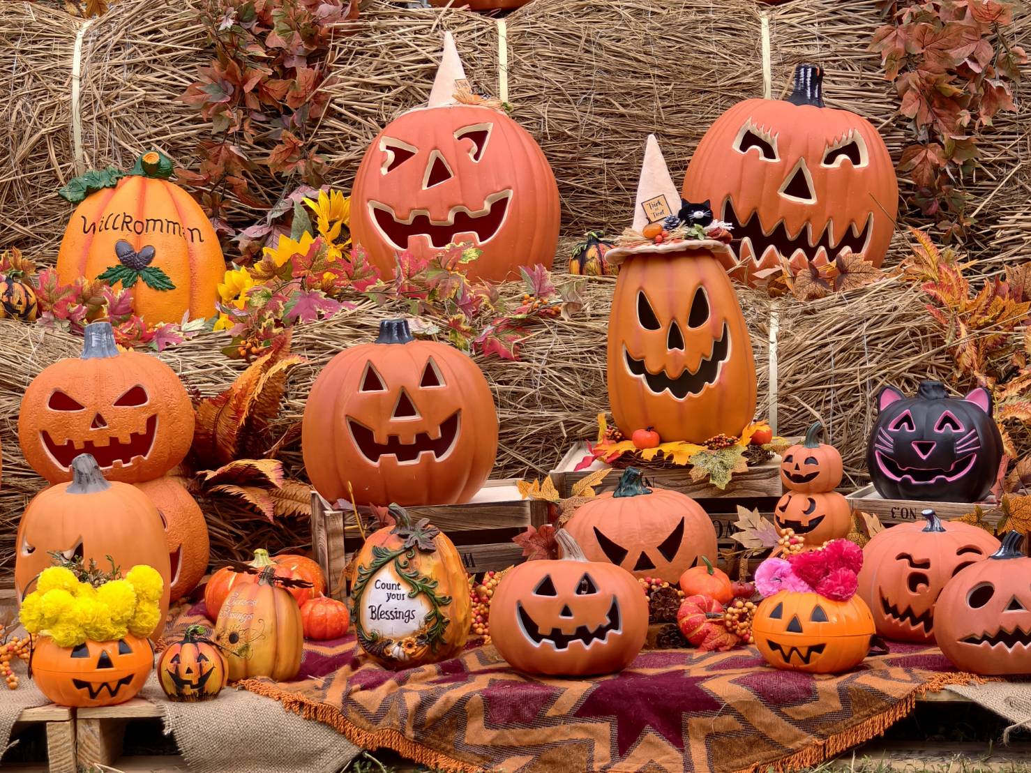 2025高雄萬聖節,大南瓜喂!武營來搞怪,10/31~11/2就在衛武營 - 第56張圖