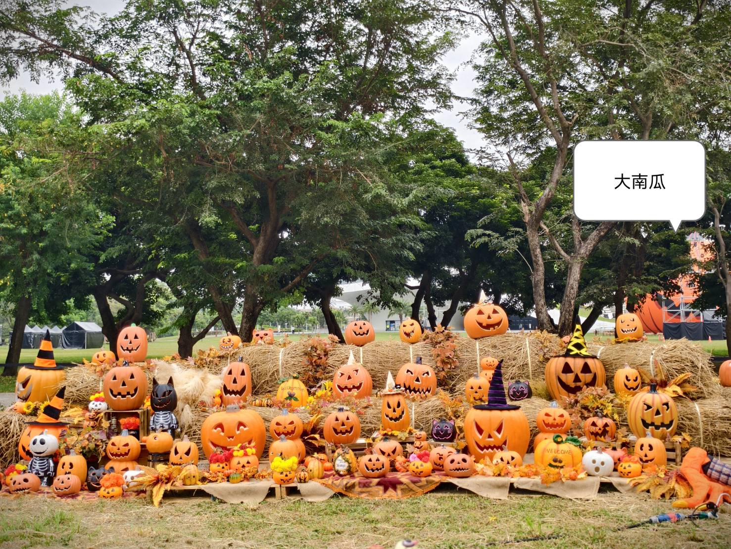 2025高雄萬聖節,大南瓜喂!武營來搞怪,10/31~11/2就在衛武營 - 第60張圖