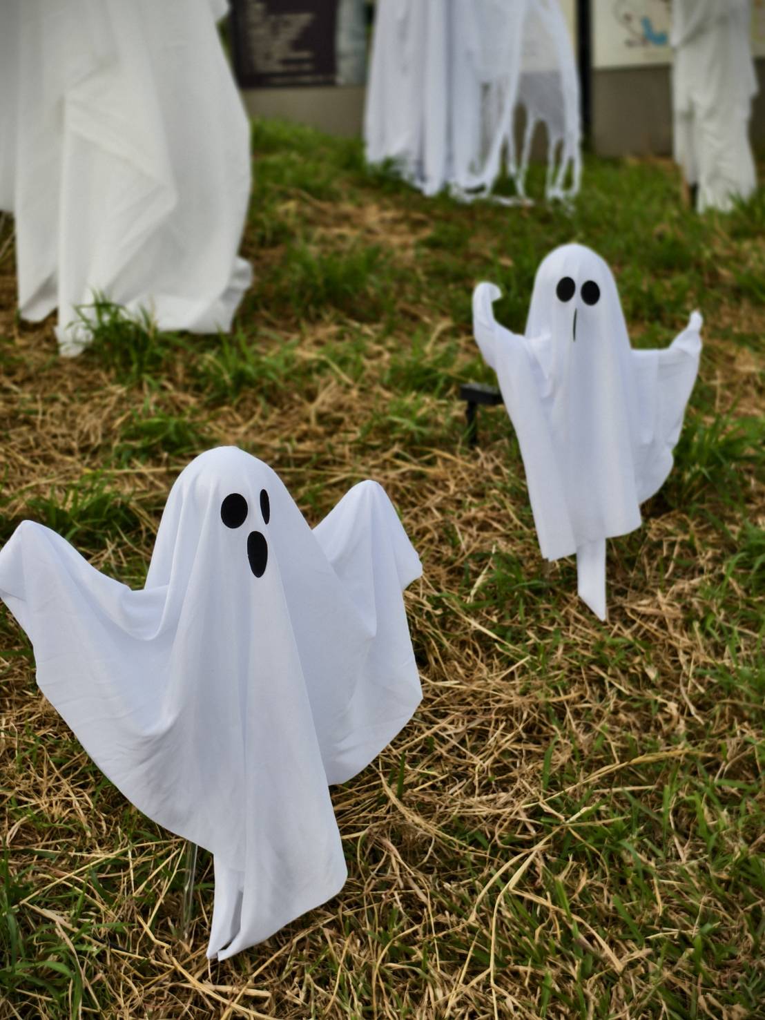 2025高雄萬聖節,大南瓜喂!武營來搞怪,10/31~11/2就在衛武營 - 第78張圖