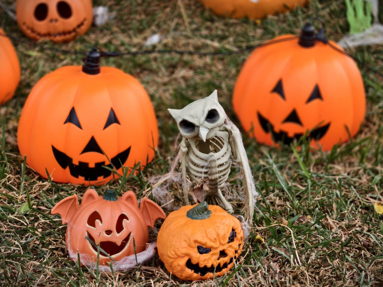 2025高雄萬聖節,大南瓜喂!武營來搞怪,10/31~11/2就在衛武營 - 第95張圖