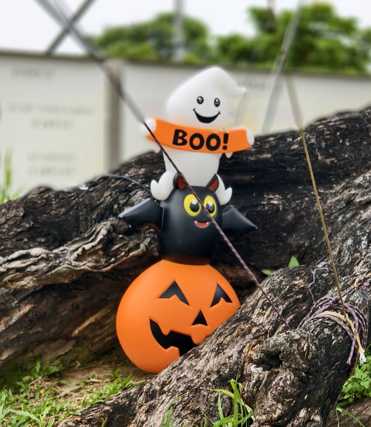 2025高雄萬聖節,大南瓜喂!武營來搞怪,10/31~11/2就在衛武營 - 第100張圖