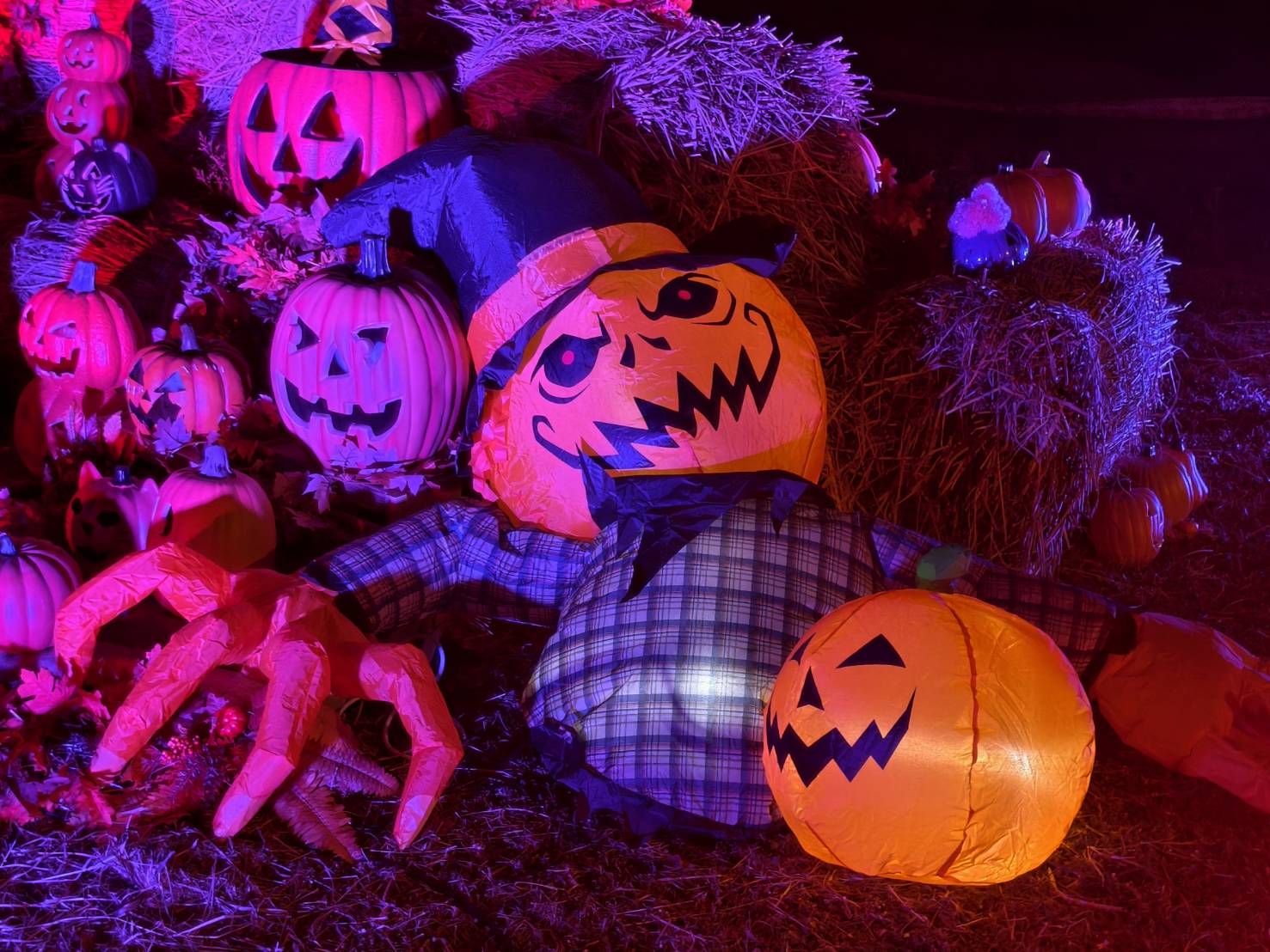 2025高雄萬聖節,大南瓜喂!武營來搞怪,10/31~11/2就在衛武營 - 第113張圖