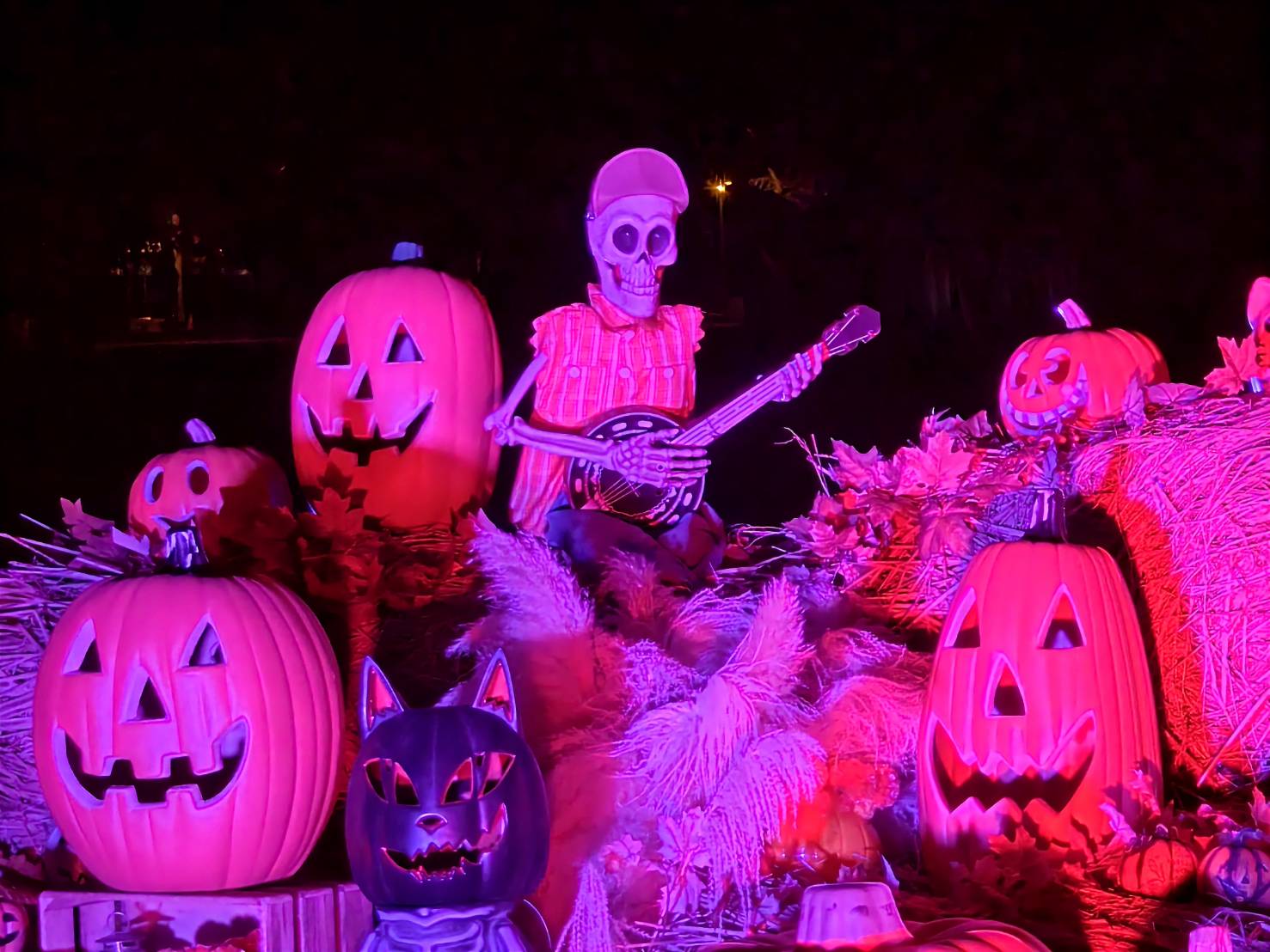 2025高雄萬聖節,大南瓜喂!武營來搞怪,10/31~11/2就在衛武營 - 第115張圖