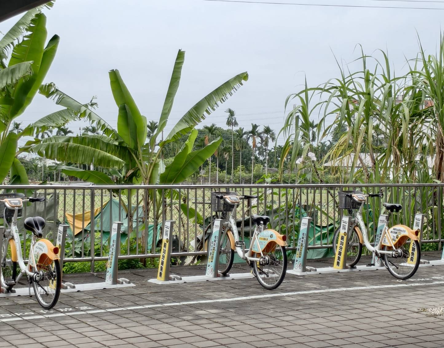 歸來肉圓是2025年500碗,也是屏東2025年100碗名單,推薦牛蒡肉圓 - 第9張圖