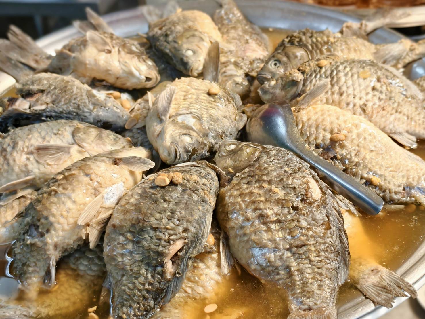 台南半日遊,基明飯桌仔與杏源珈琲,悠閒旅遊好選擇,台南中西區美食 - 第21張圖