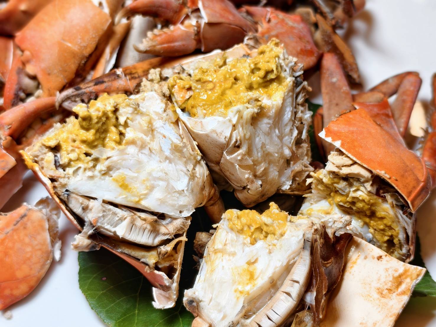 東港小旅行,東大興伴手禮,華僑市場,大鵬灣,東港景點美食一日遊