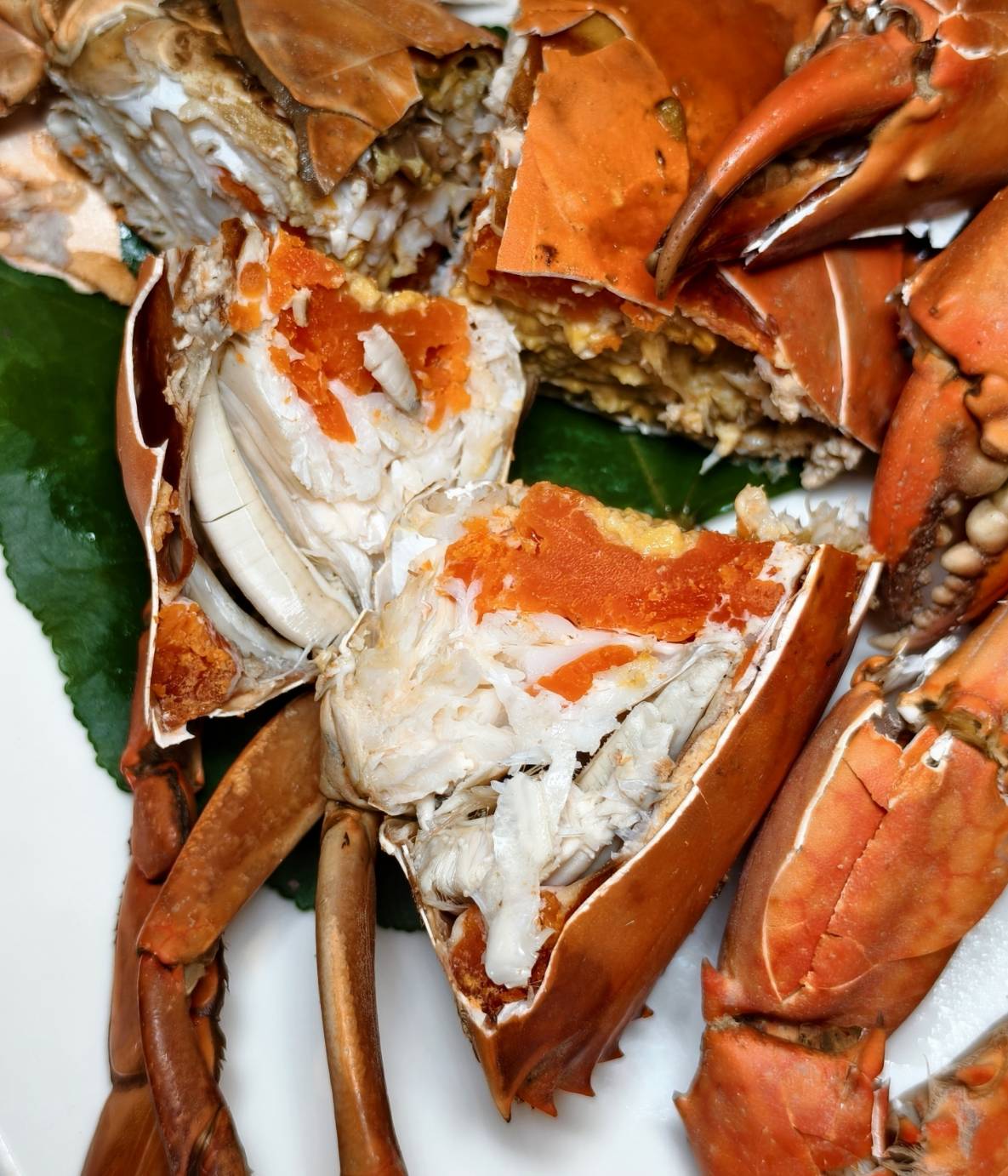 東港小旅行,東大興伴手禮,華僑市場,大鵬灣,東港景點美食一日遊