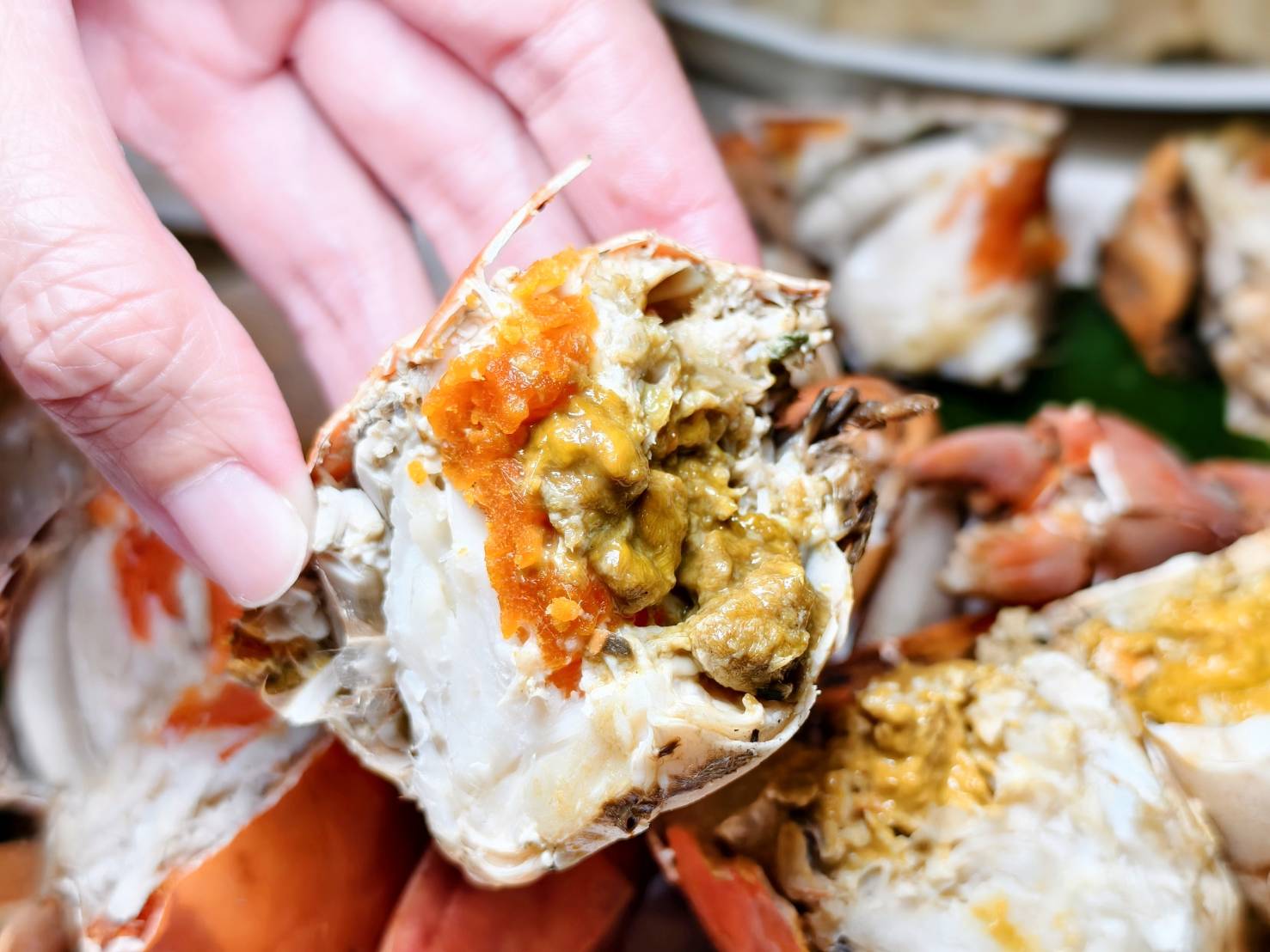 東港小旅行,東大興伴手禮,華僑市場,大鵬灣,東港景點美食一日遊