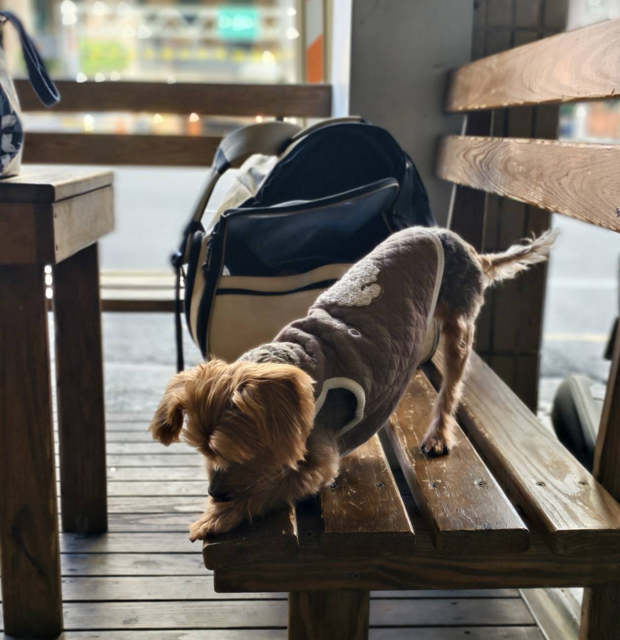 台南半日遊,決哥手烘咖啡吧,飯賣人口,木匠手烘咖啡,隨興旅遊