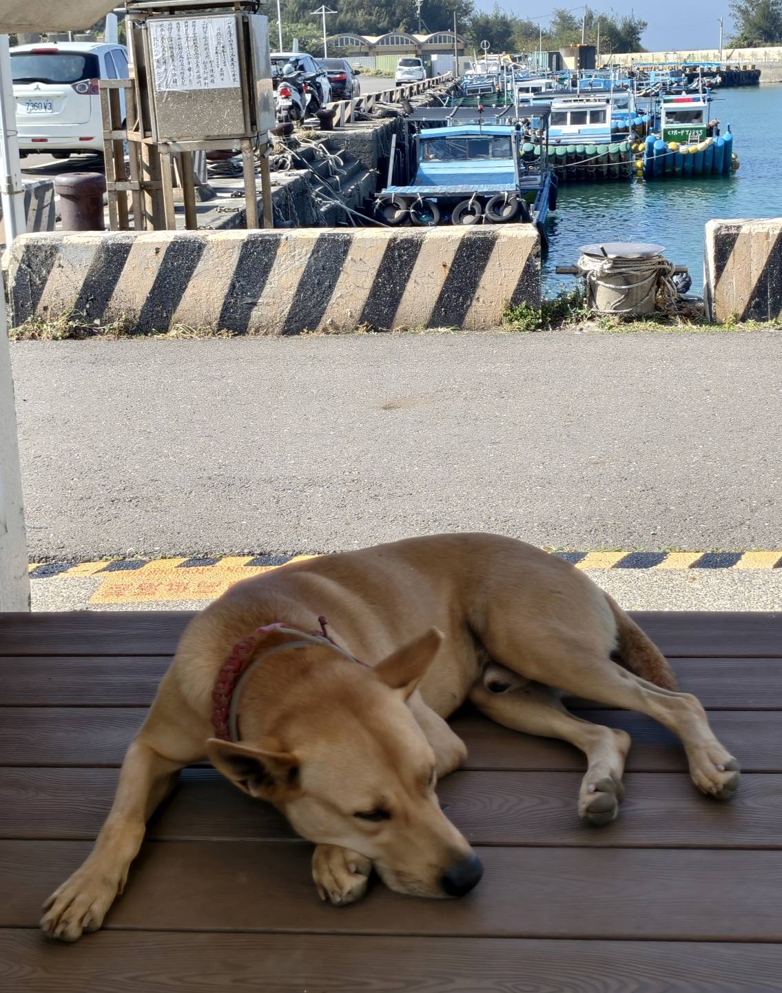 車城恆春一日遊,看海美術館新展覽,阿香姨麵店,恆春必推薦的南懶咖啡 - 第45張圖 車城恆春一日遊,看海美術館新展覽,阿香姨麵店,恆春必推薦的南懶咖啡