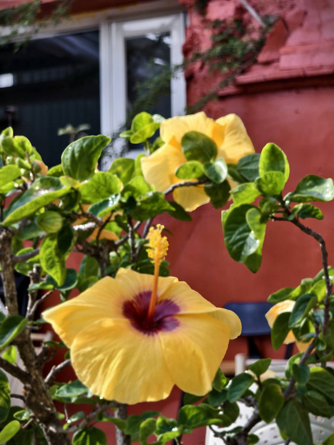 車城恆春一日遊,看海美術館新展覽,阿香姨麵店,恆春必推薦的南懶咖啡 - 第157張圖 車城恆春一日遊,看海美術館新展覽,阿香姨麵店,恆春必推薦的南懶咖啡