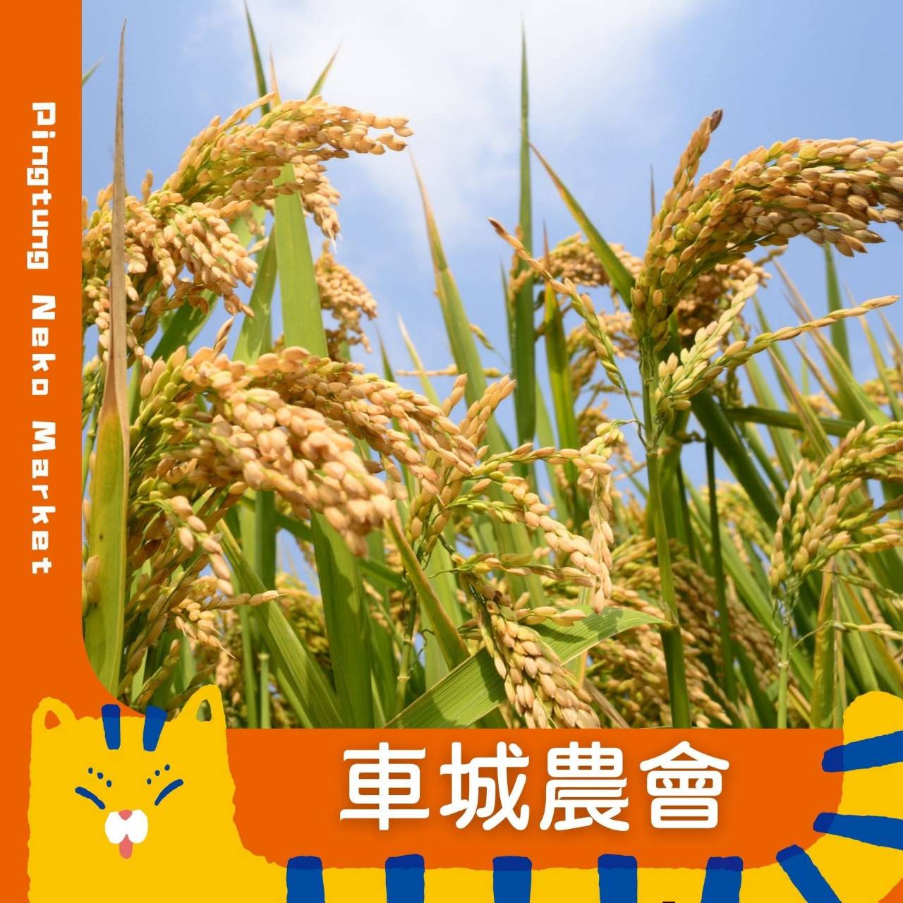 NEKO MARKET,第一場12月26日到12月28日在屏東市萬倉街鐵道廊道,為期三個月共三場