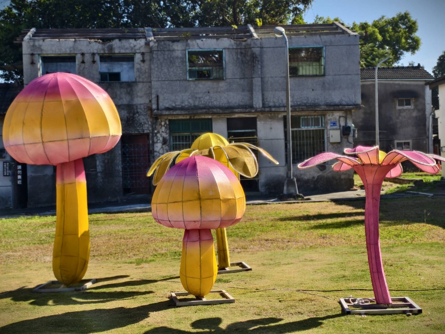 黃埔新村半日遊,書眷味,璞味綿綿冰,致日子,神諭咖啡與剛剛好,都是寵物友善 - 第7張圖 黃埔新村半日遊,書眷味,璞味綿綿冰,致日子,神諭咖啡與剛剛好,都是寵物友善