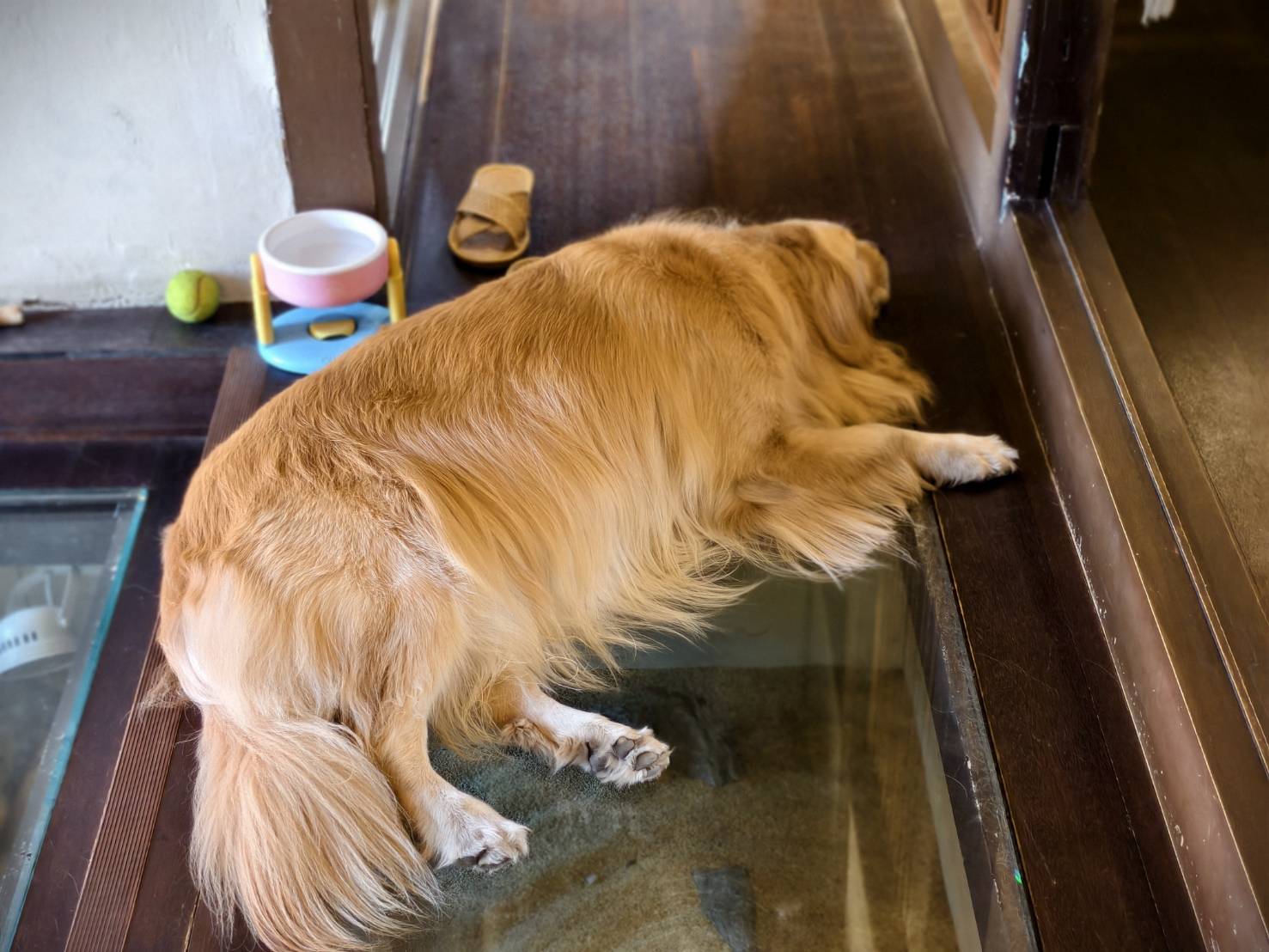 黃埔新村半日遊,書眷味,璞味綿綿冰,致日子,神諭咖啡與剛剛好,都是寵物友善 - 第22張圖 黃埔新村半日遊,書眷味,璞味綿綿冰,致日子,神諭咖啡與剛剛好,都是寵物友善