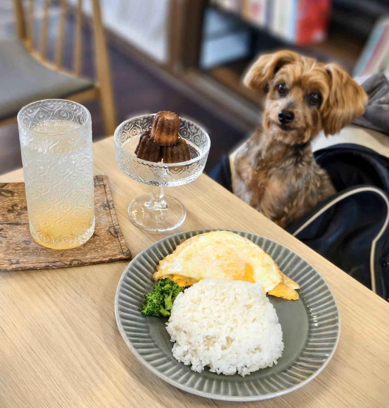 黃埔新村半日遊,書眷味,璞味綿綿冰,致日子,神諭咖啡與剛剛好,都是寵物友善 - 第25張圖 黃埔新村半日遊,書眷味,璞味綿綿冰,致日子,神諭咖啡與剛剛好,都是寵物友善