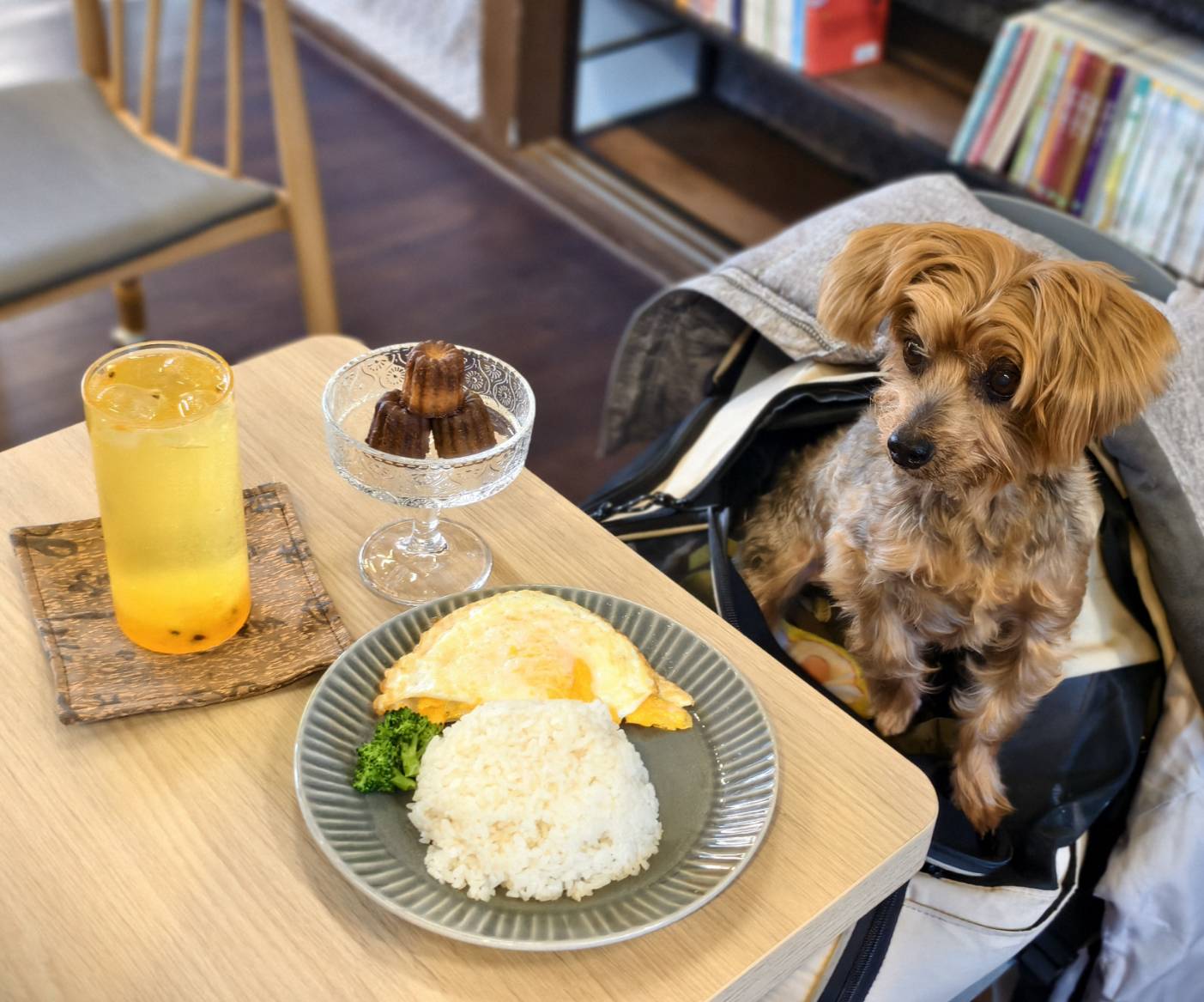 黃埔新村半日遊,書眷味,璞味綿綿冰,致日子,神諭咖啡與剛剛好,都是寵物友善 - 第26張圖 黃埔新村半日遊,書眷味,璞味綿綿冰,致日子,神諭咖啡與剛剛好,都是寵物友善