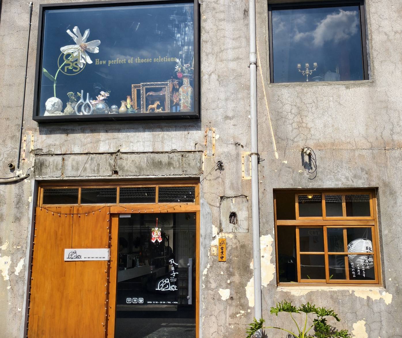 黃埔新村半日遊,書眷味,璞味綿綿冰,致日子,神諭咖啡與剛剛好,都是寵物友善 - 第27張圖 黃埔新村半日遊,書眷味,璞味綿綿冰,致日子,神諭咖啡與剛剛好,都是寵物友善