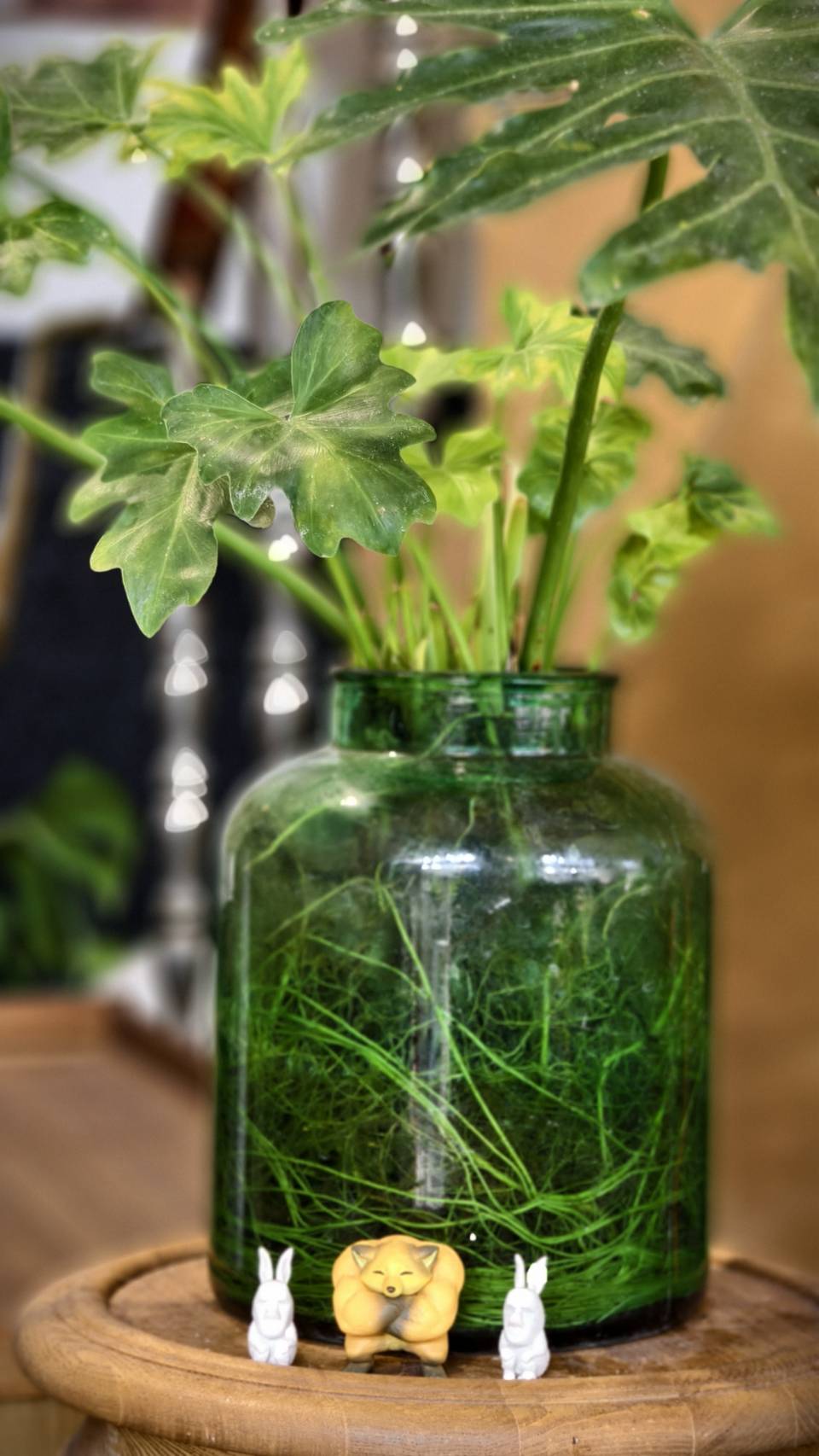 黃埔新村半日遊,書眷味,璞味綿綿冰,致日子,神諭咖啡與剛剛好,都是寵物友善 - 第29張圖 黃埔新村半日遊,書眷味,璞味綿綿冰,致日子,神諭咖啡與剛剛好,都是寵物友善