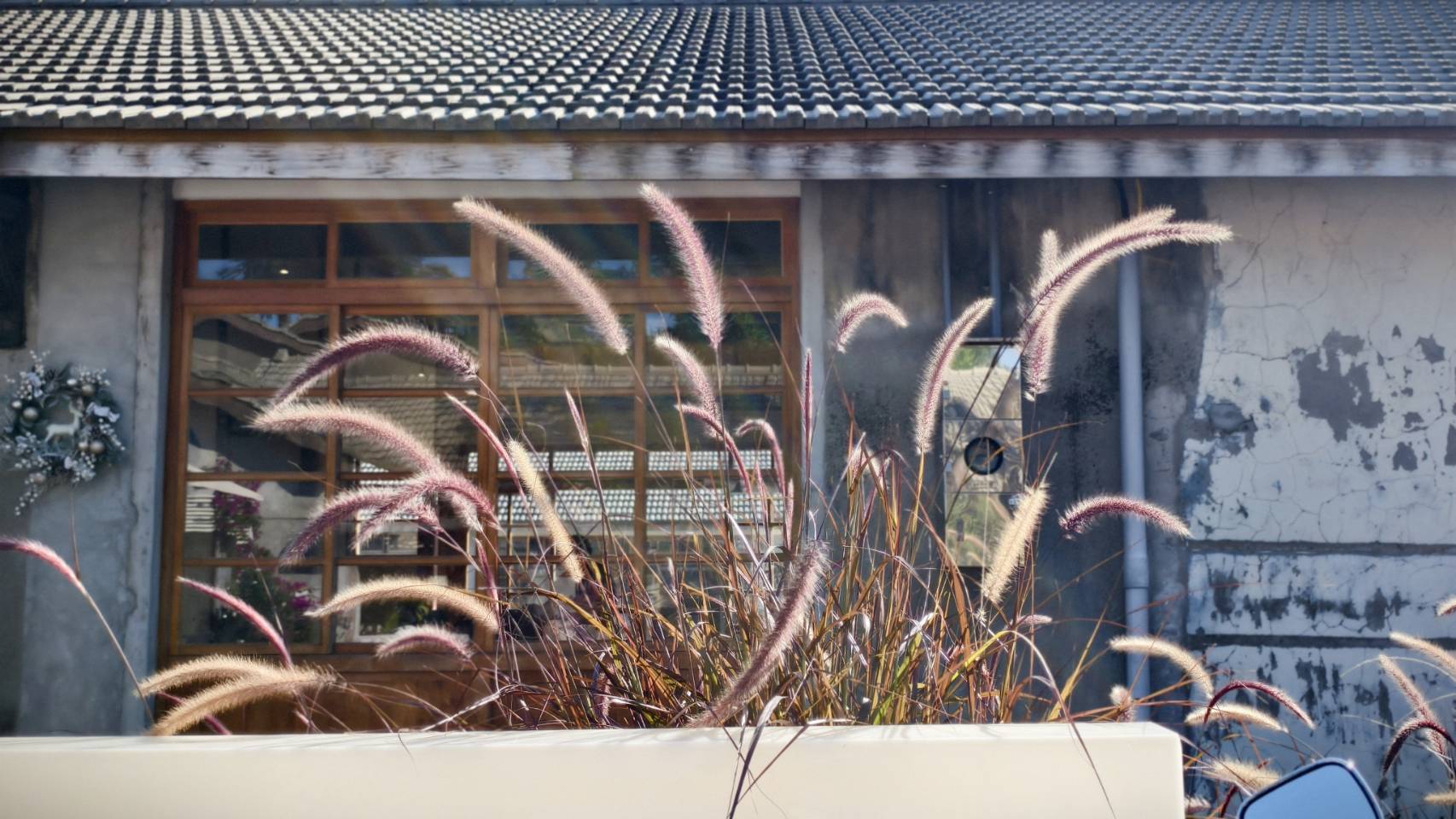 黃埔新村半日遊,書眷味,璞味綿綿冰,致日子,神諭咖啡與剛剛好,都是寵物友善 - 第53張圖 黃埔新村半日遊,書眷味,璞味綿綿冰,致日子,神諭咖啡與剛剛好,都是寵物友善