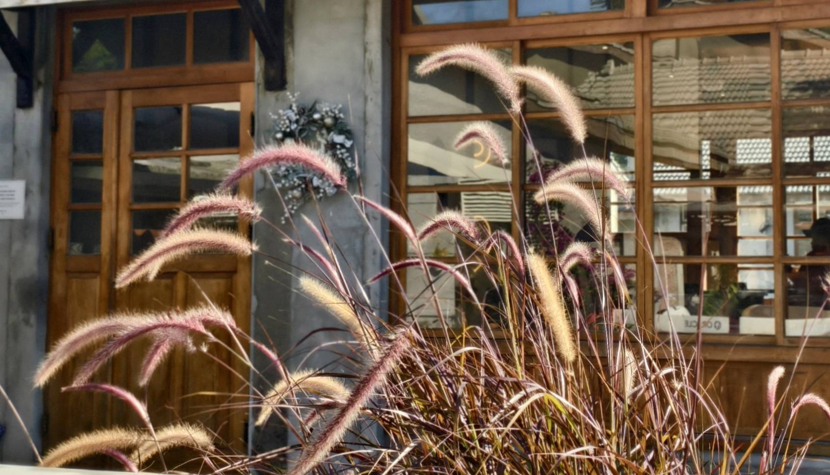 黃埔新村半日遊,書眷味,璞味綿綿冰,致日子,神諭咖啡與剛剛好,都是寵物友善 - 第55張圖 黃埔新村半日遊,書眷味,璞味綿綿冰,致日子,神諭咖啡與剛剛好,都是寵物友善