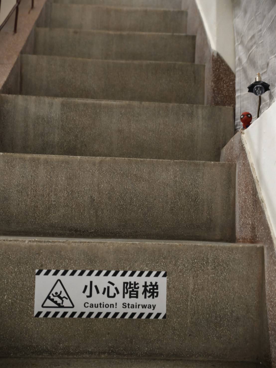 文橫二路Rickky與民有街結咖啡,高雄新興區寵物友善咖啡店