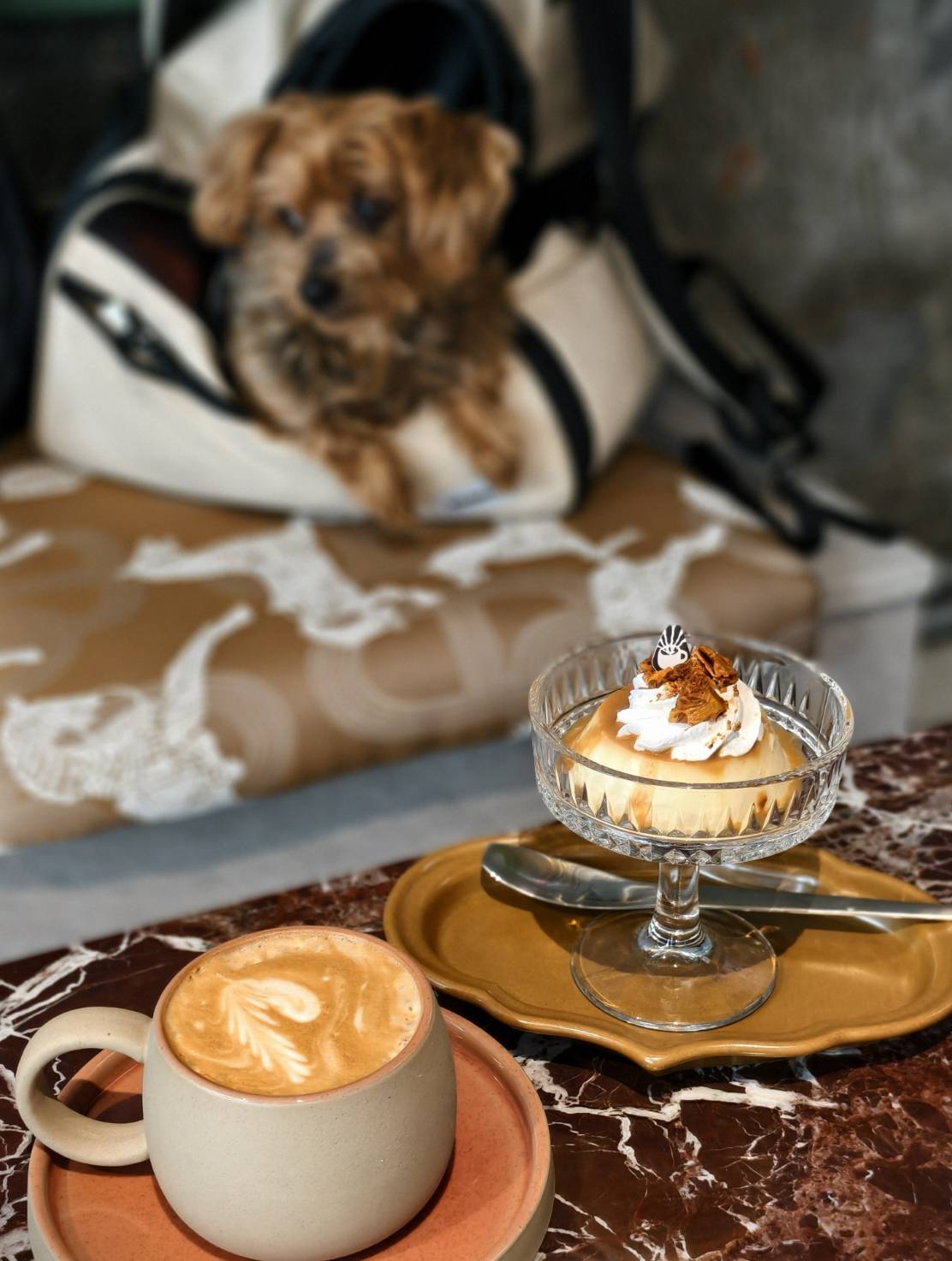 The Light x Coffee,正言路上新店,武廟商圈寵物友善咖啡店