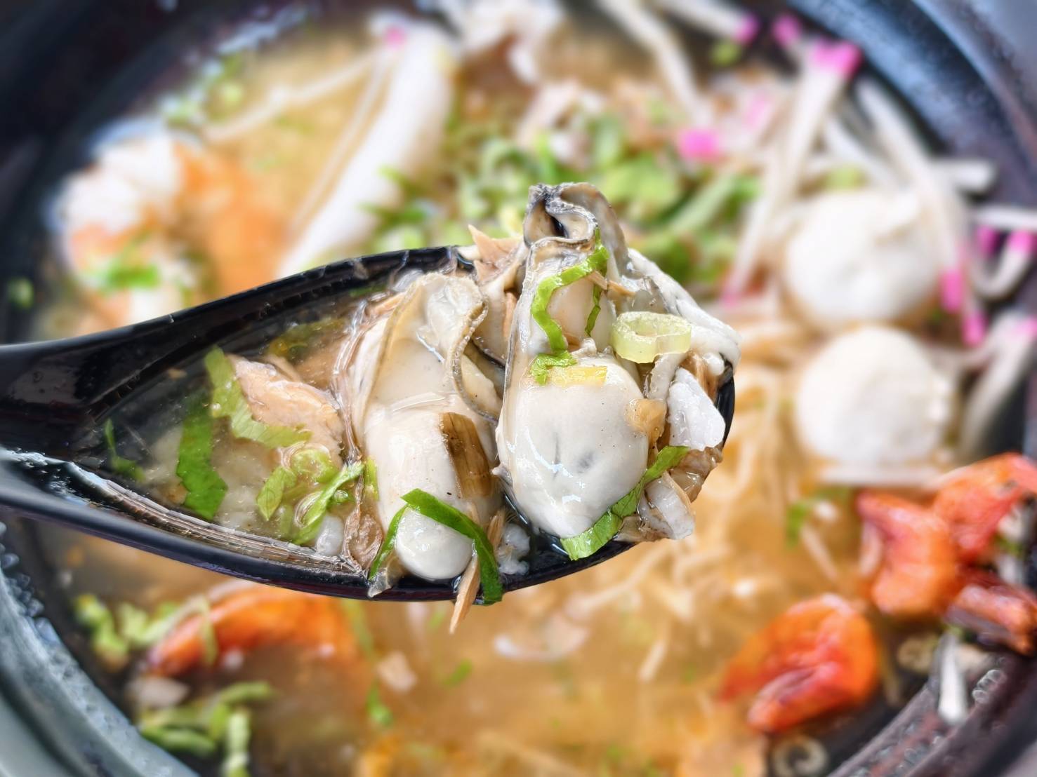 東港一日遊,推薦新東津鮪魚飯湯,葉家肉粿,瑞字號旗魚黑輪 - 第17張圖 東港一日遊,推薦新東津鮪魚飯湯,葉家肉粿,瑞字號旗魚黑輪