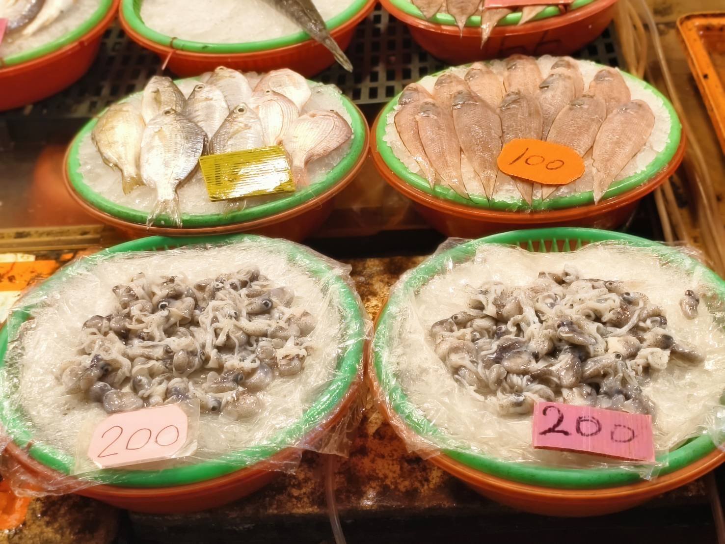 東港一日遊,推薦新東津鮪魚飯湯,葉家肉粿,瑞字號旗魚黑輪 - 第61張圖 東港一日遊,推薦新東津鮪魚飯湯,葉家肉粿,瑞字號旗魚黑輪