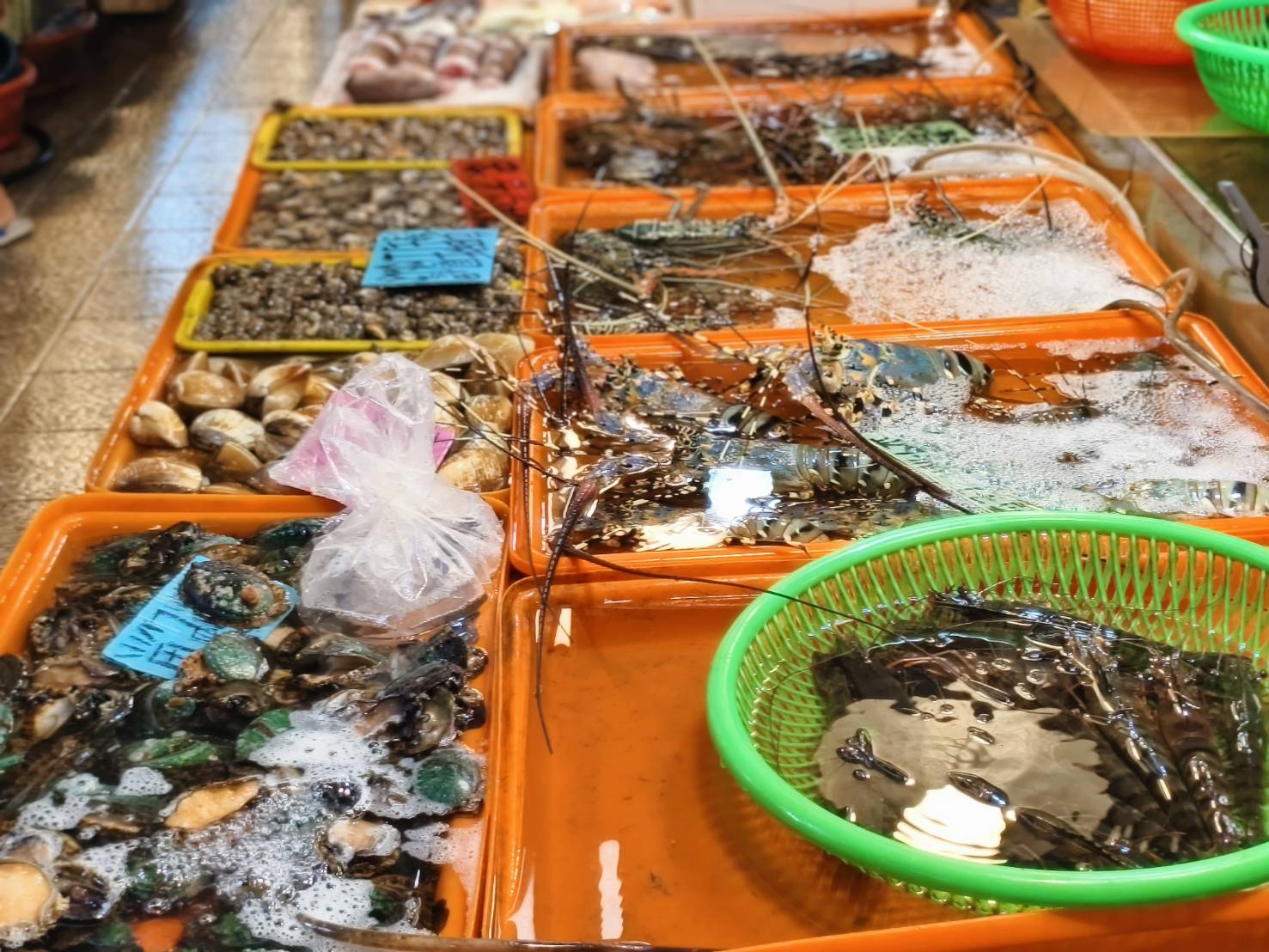 東港一日遊,推薦新東津鮪魚飯湯,葉家肉粿,瑞字號旗魚黑輪 - 第63張圖 東港一日遊,推薦新東津鮪魚飯湯,葉家肉粿,瑞字號旗魚黑輪