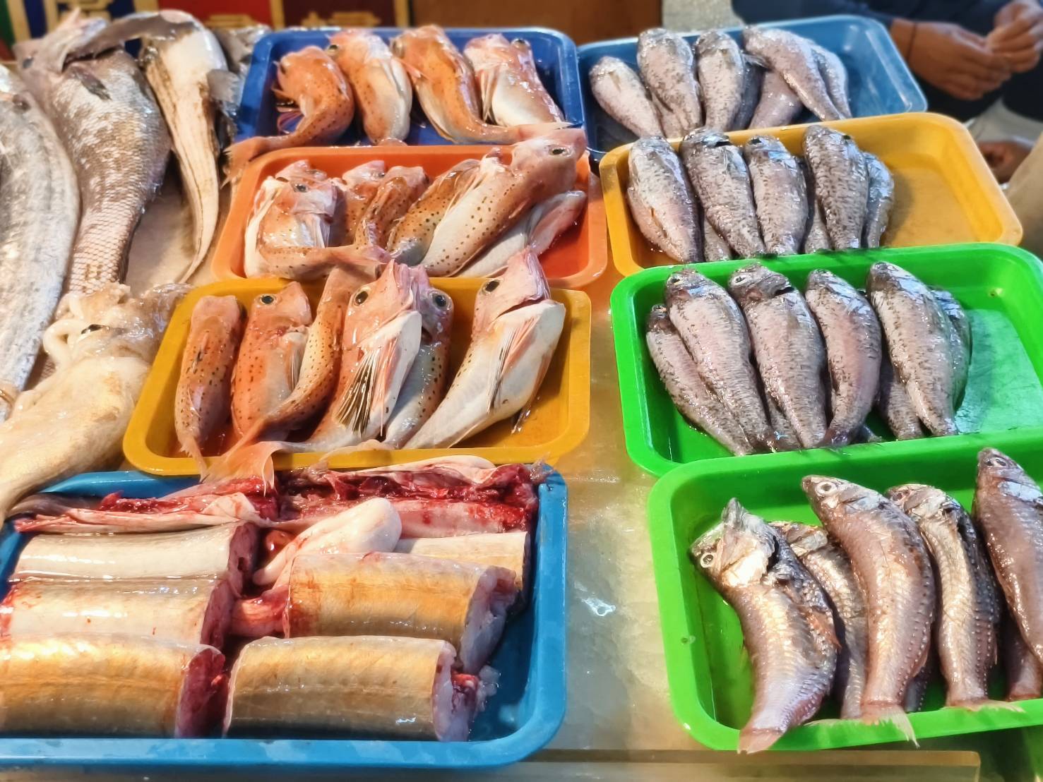 東港一日遊,推薦新東津鮪魚飯湯,葉家肉粿,瑞字號旗魚黑輪