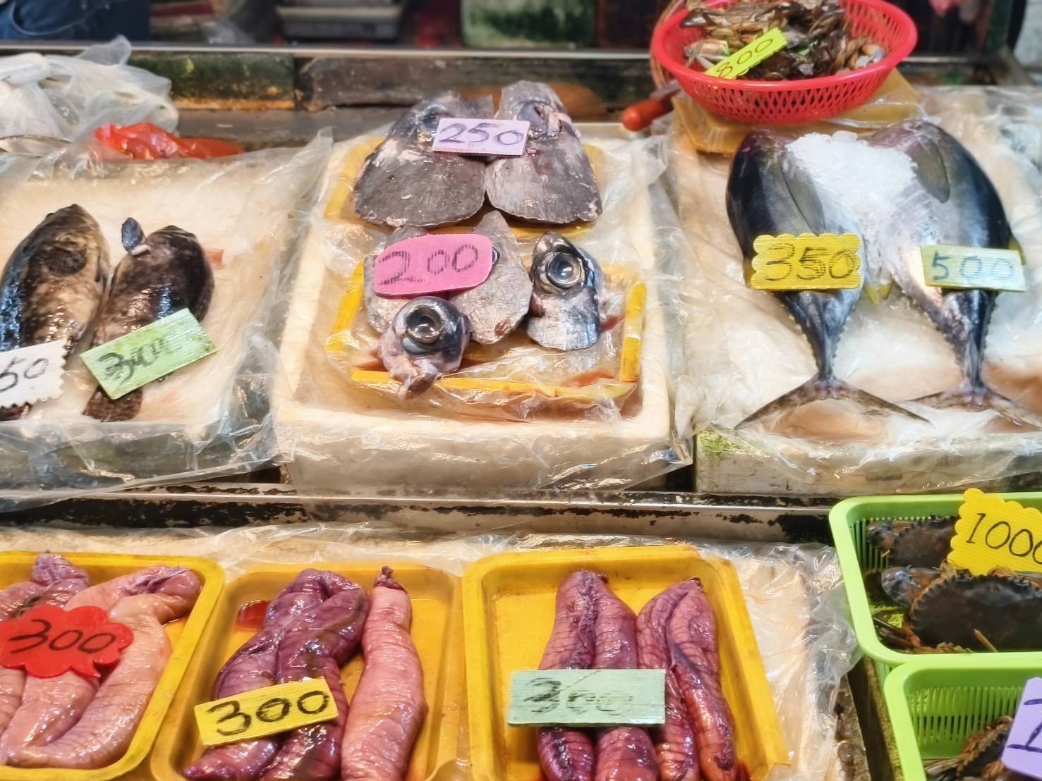 東港一日遊,推薦新東津鮪魚飯湯,葉家肉粿,瑞字號旗魚黑輪 - 第65張圖 東港一日遊,推薦新東津鮪魚飯湯,葉家肉粿,瑞字號旗魚黑輪