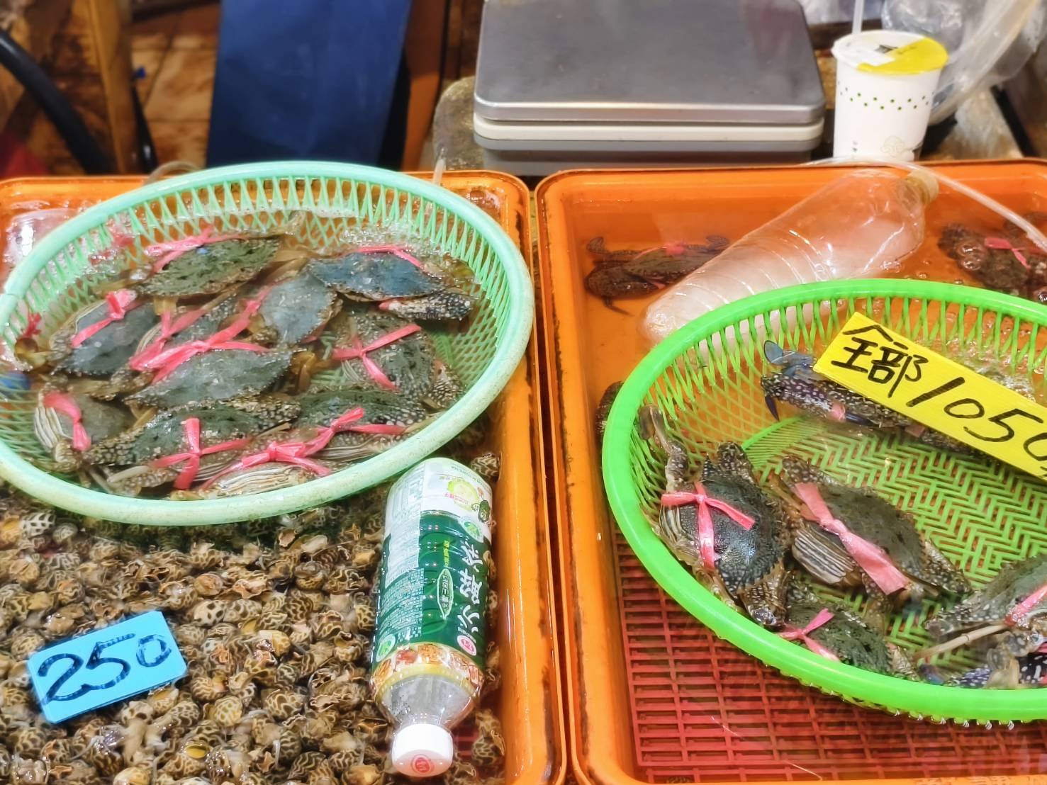 東港一日遊,推薦新東津鮪魚飯湯,葉家肉粿,瑞字號旗魚黑輪 - 第66張圖 東港一日遊,推薦新東津鮪魚飯湯,葉家肉粿,瑞字號旗魚黑輪